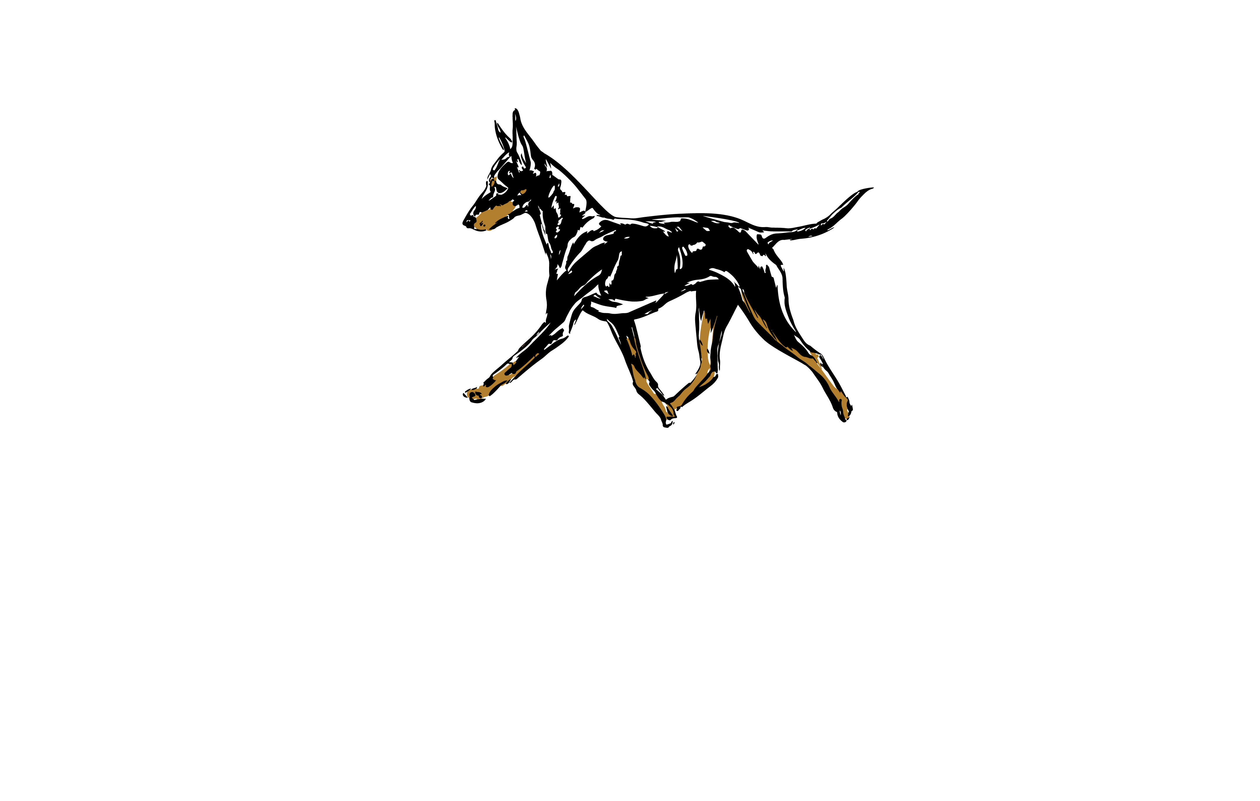 Lasagesse English Toy Terriers